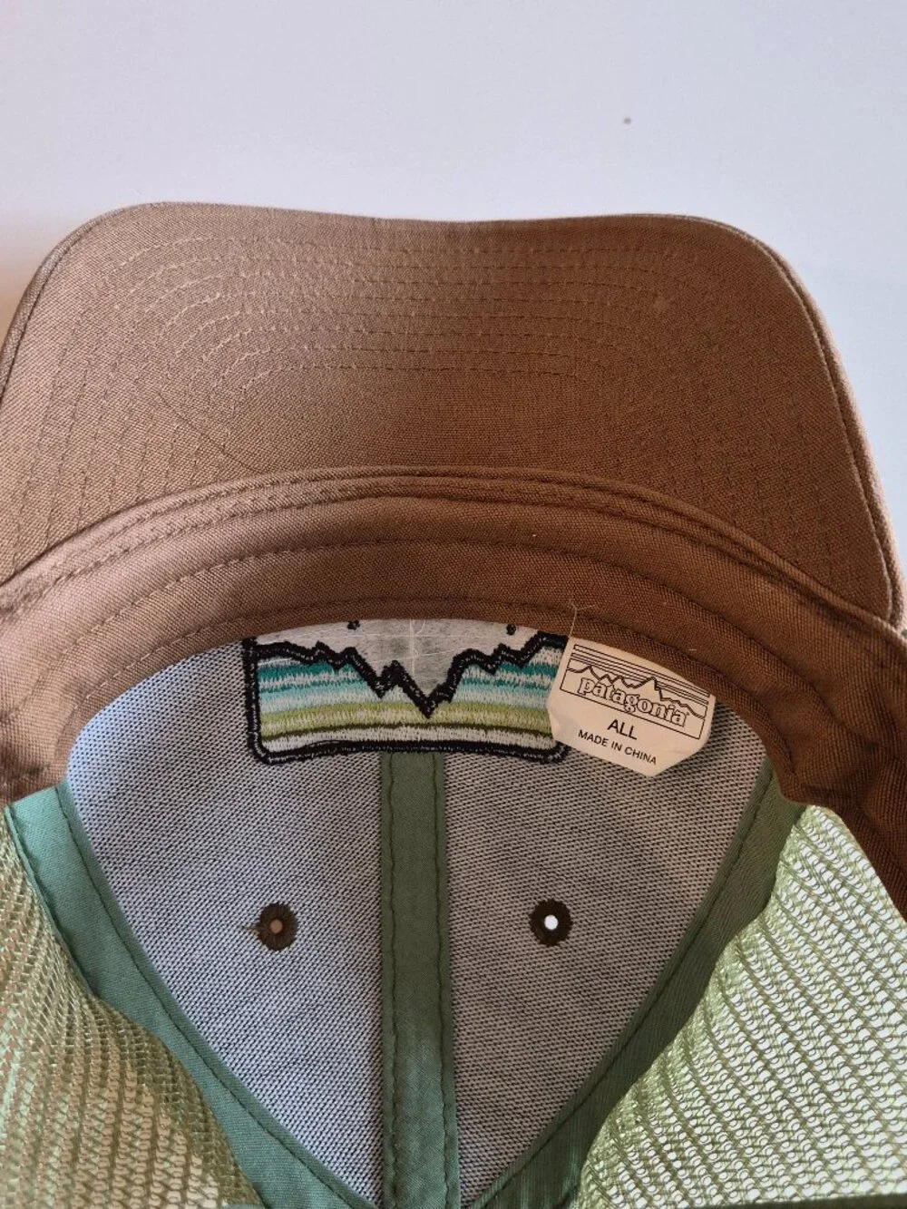 Patagonia adjustable trucker